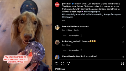 PetSmart Tim Burton's The Nightmare Before Christmas Instagram Update