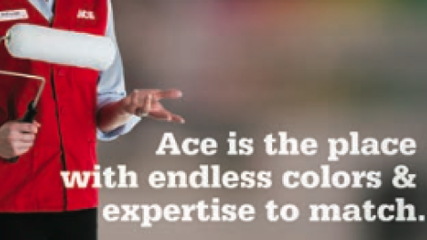 Ace Hardware 'Endless Colors and Expertise' Signage