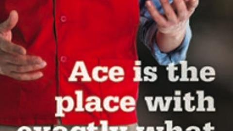 Ace Hardware 'What You Need' Signage