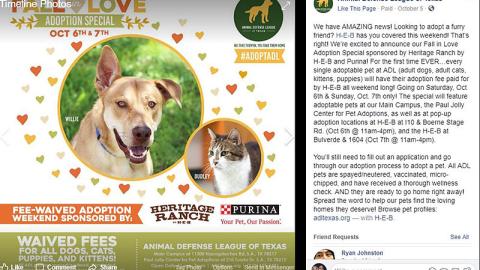 Animal Defense League 'Fall in Love Adoption Special' Facebook Update