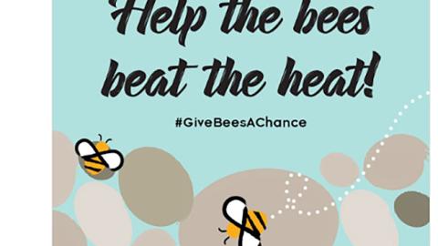 Whole Kids Foundation 'Help the Bees' Twitter Update