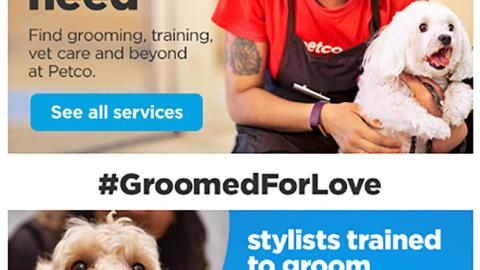 Petco #GroomedForLove Email