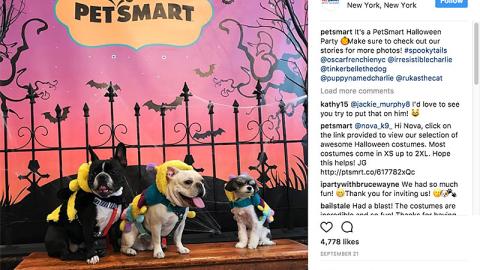 PetSmart 'Halloween Party' Instagram Update