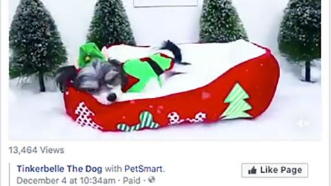 PetSmart 'Joy of Giving Back' Facebook Update