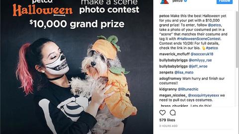 Petco 'Best Halloween Yet' Instagram Update