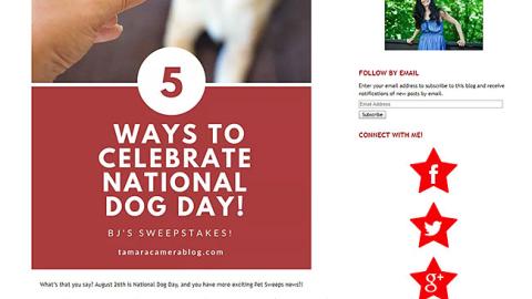 Tamara Like Camera 'Celebrate National Dog Day' Blog Post