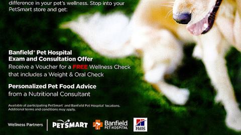 PetSmart 'Paws for Pet Health' Flyer