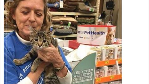 Hill's PetSmart 'Paws for Pet Health' Facebook Update