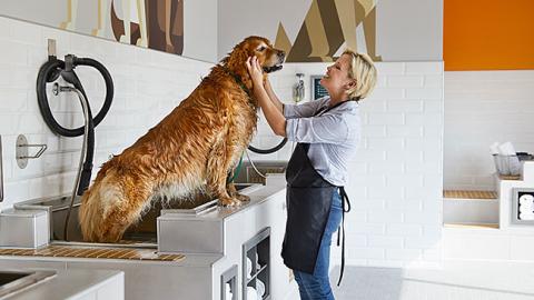 PetCoach Self-Service Dog Wash