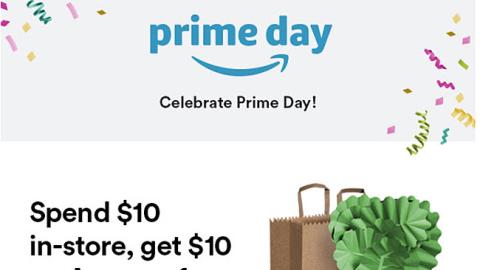 Whole Foods 'Celebrate Prime Day' Email
