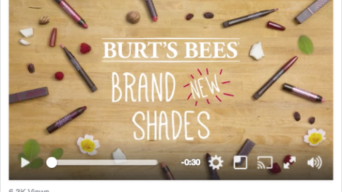CVS Burt's Bees 'All the Buzz' Facebook Update
